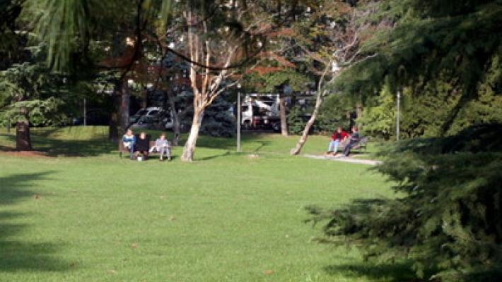 Dalla sequoia al tasso: ecco gli alberi della regina