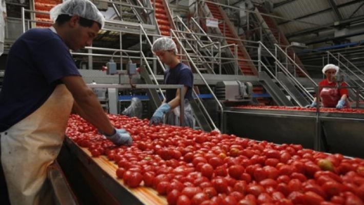 Convegno dell'Interprofessione del pomodoro da industria al Tomato World di Piacenza