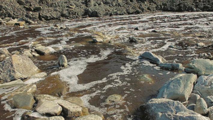 Sversa liquami in un torrente, denunciato nel Reggiano