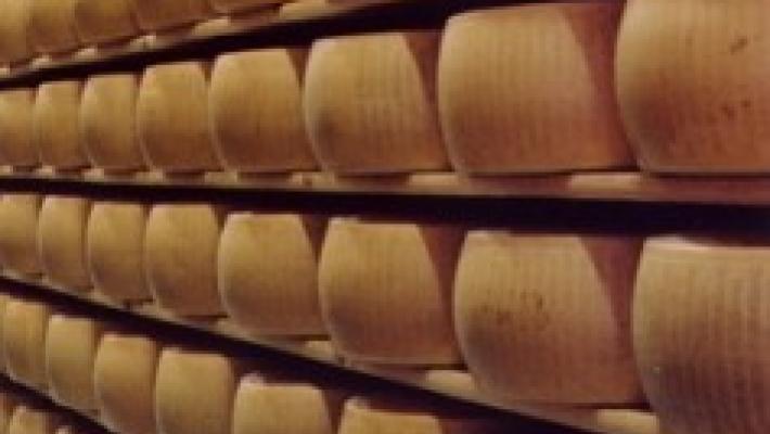 Magazzini generali delle tagliate (gruppo Credem): nel primo semestre 2024 oltre 340 milioni di euro di affidamenti assistiti da pegno