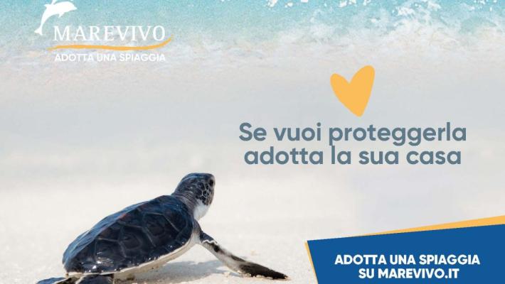 Riparte la campagna nazionale di Marevivo "Adotta una spiaggia"