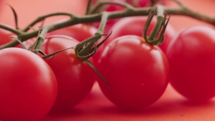 Mangiano pomodorini a scuola a Modena, alunni accusano malori 
