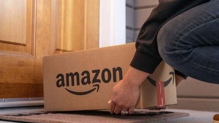 Gatta si intrufola nel pacco e viene spedita con Amazon