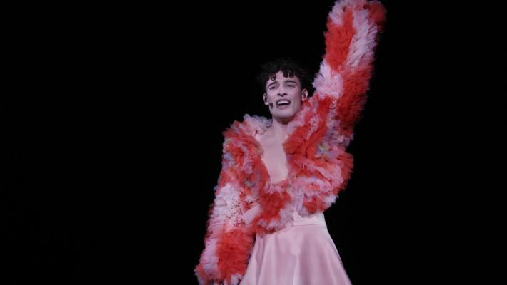 Eurovision, vince la Svizzera con Nemo. Italia settima