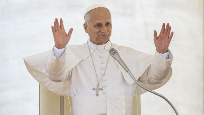 Papa "L'umanità soffre per ingiustizie e guerre, costruire la fraternità"