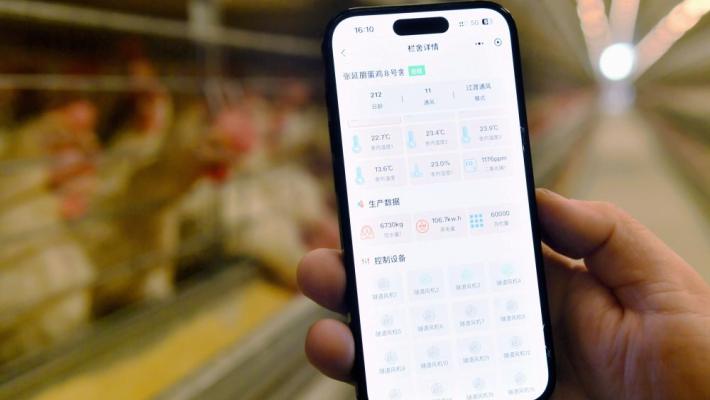 La Cina crea un sistema di registrazione per i diritti di propriet&agrave; dei dati