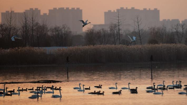 Ambiente, migliorano i parametri in Cina nel 2025