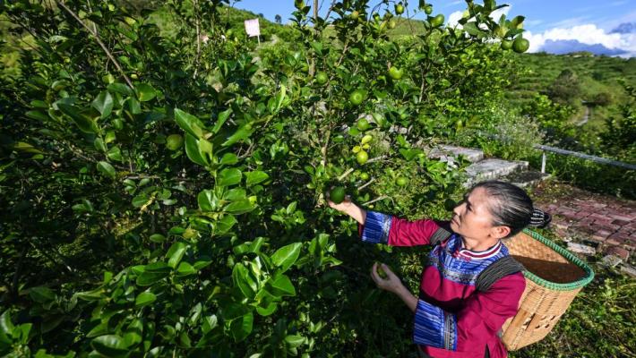 In Cina si riduce il divario di reddito fra aree urbane e rurali