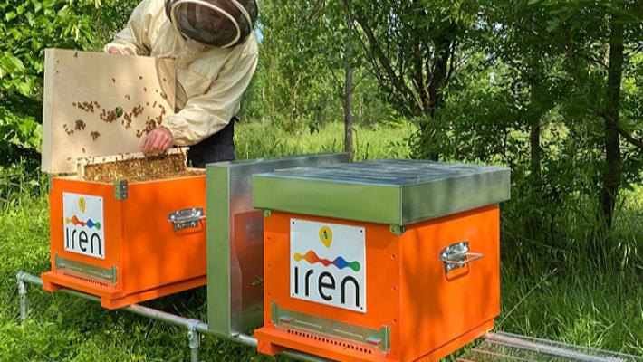 Due alveari nell'area del Polo Ambiente Integrato di Parma