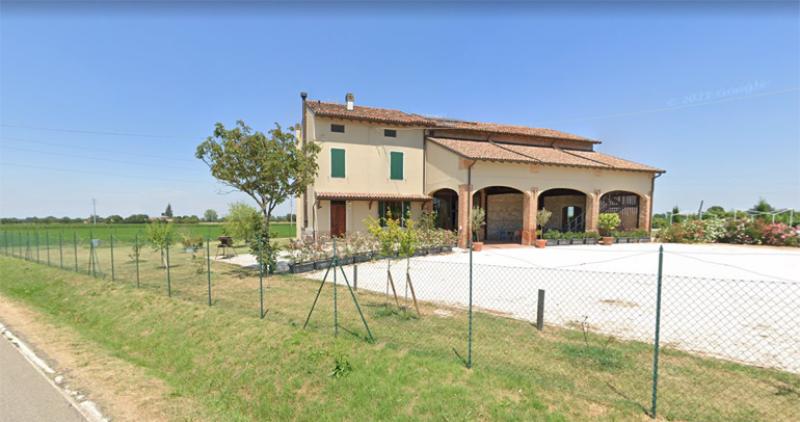 Mostra collettiva di scultura  e pittura