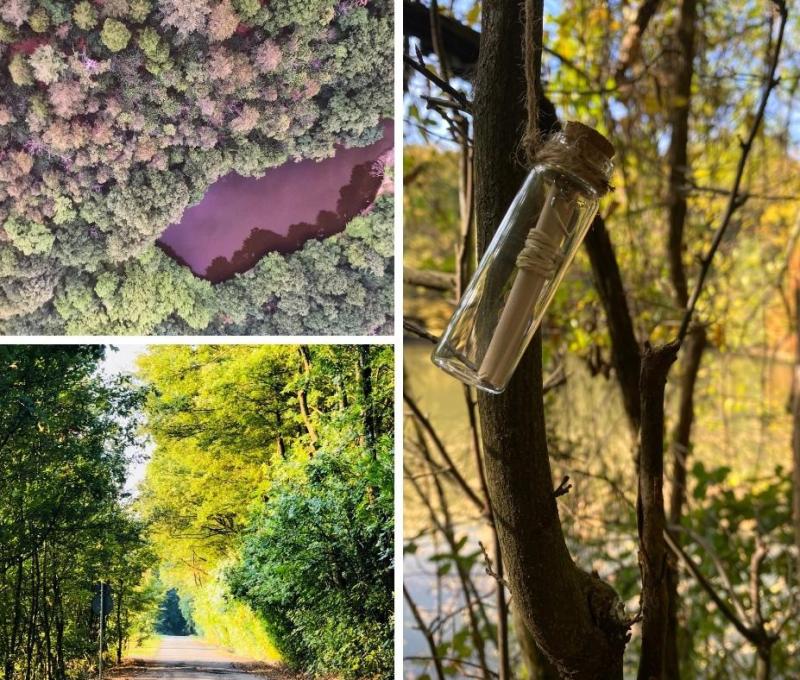 Domenica 24 aprile, nei Boschi di Carrega (PR), caccia al tesoro (ecologico) nel bosco