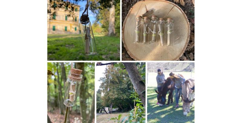 Il 15 maggio escursione con gli asini, nel Parco Naturale dei Boschi di Carrega (PR), per cercare misteriose ampolle