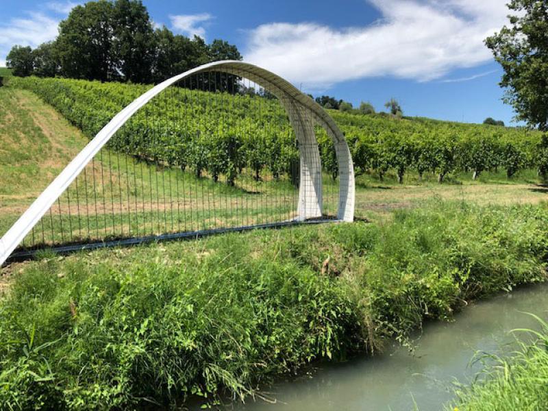 Lungo il Sentiero dell&rsquo;Arte: benessere e solidariet&agrave; per il nuovo Centro oncologico di Parma
