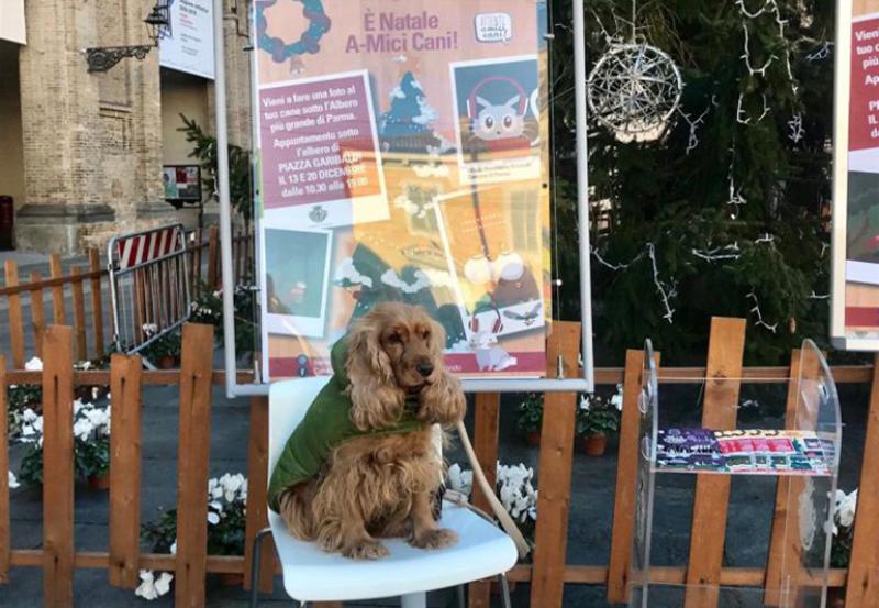 E' Natale A-Mici Cani V edizione