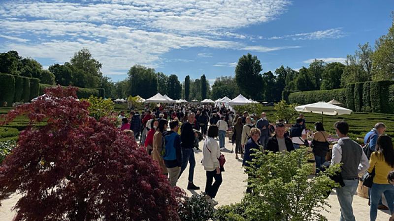 Nel segno del giglio