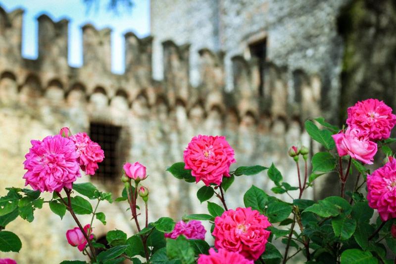 Visita guidata e aperitivo al Castello di Tabiano 