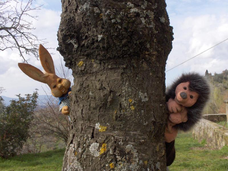 Baracca e Burattini a Calerno