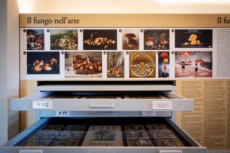 Orario speciale ed eventi al Museo del Fungo Porcino di Borgotaro, in occasione della Fiera