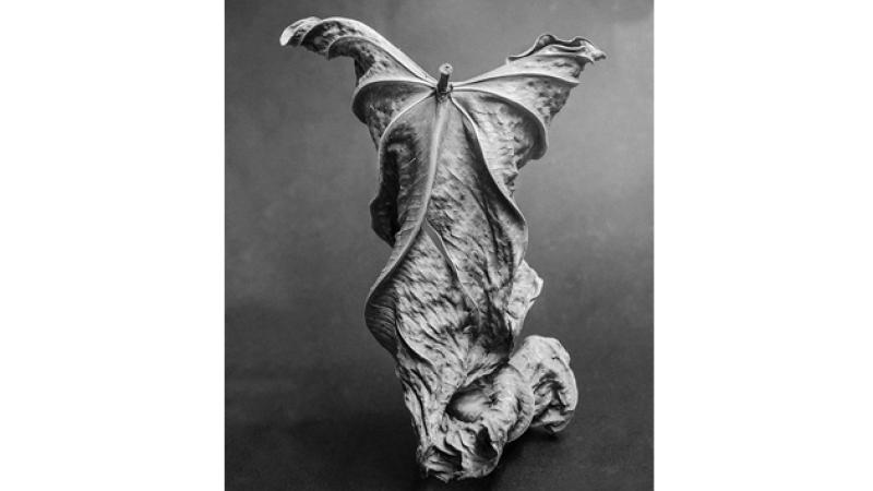 Sabato 6 Aprile ore 17,30 inaugurazione mostra "Spiriti della foresta"