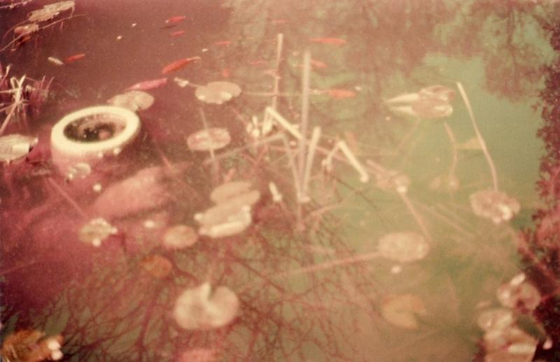 Silenti: la mostra fotografica di Rita Rozzi, a cura di Alessandra Azzolini