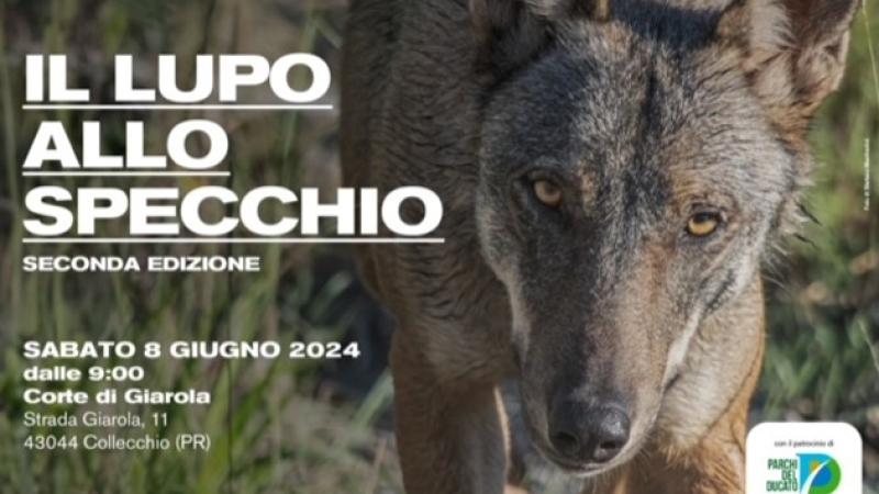 Il lupo allo specchio - seconda edizione