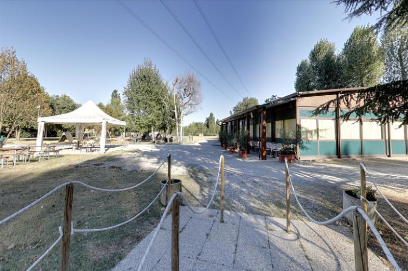 Artemisia: l'Arte di trasformare corpo, mente e spirito