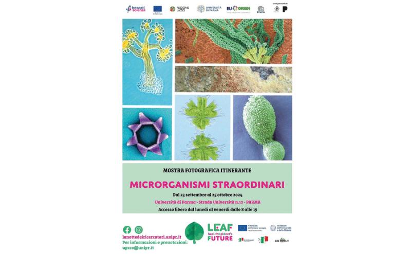 "Microrganismi straordinari": le meraviglie dell'invisibile