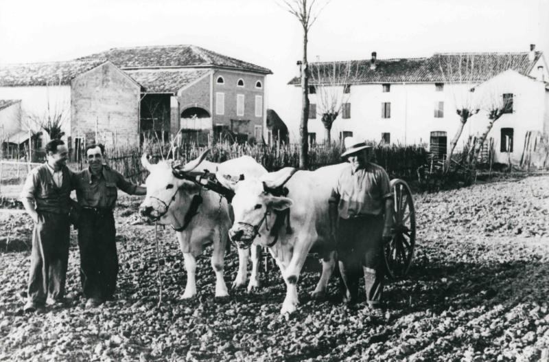 C&rsquo;era una volta, il lavoro memoria di botteghe, campi ed officine
