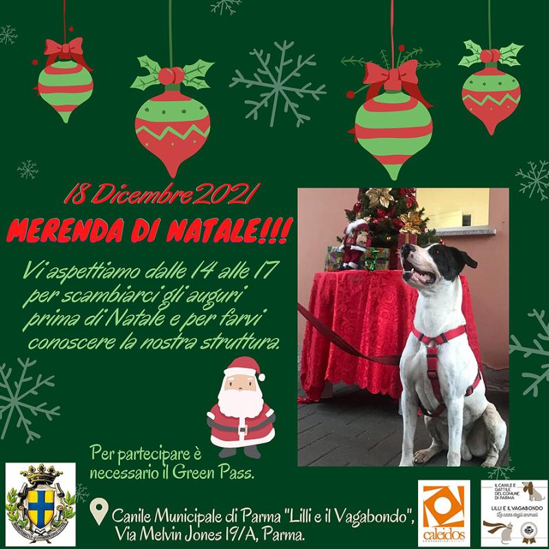 Il Polo di affezione Lilli e il Vagabondo ti invita ad una merenda di Natale