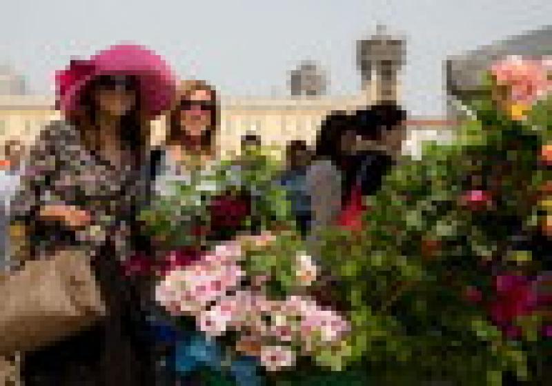 Alla Reggia di Colorno torna &ldquo;Nel segno del giglio&rdquo;: fiori, animali e... bio