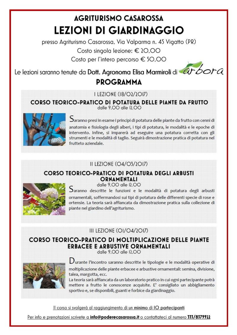 Lezioni di giardinaggio: segreti per avere un giardino perfetto!