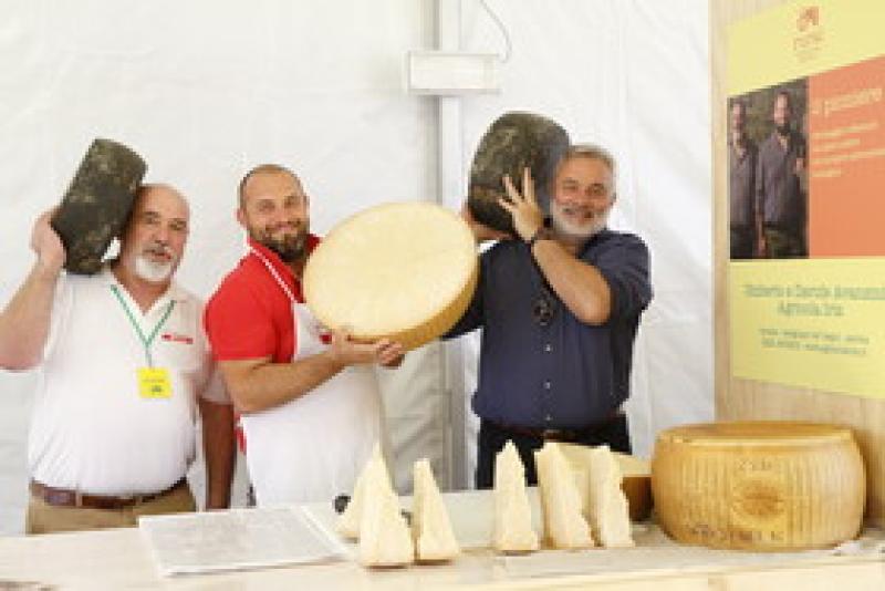 Alla scoperta del formaggio &ldquo;Pioniere&rdquo;