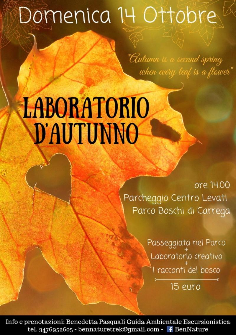 Boschi di Carrega: laboratorio d'Autunno 