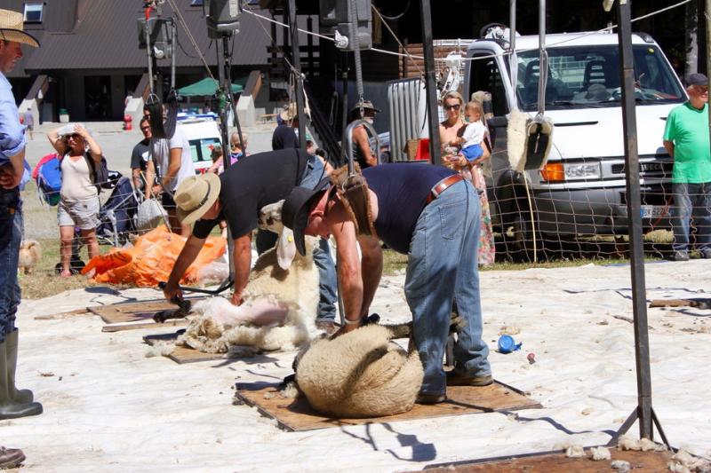 Appenninfest, montagna in festa fra cultura, arte  e solidariet&agrave;