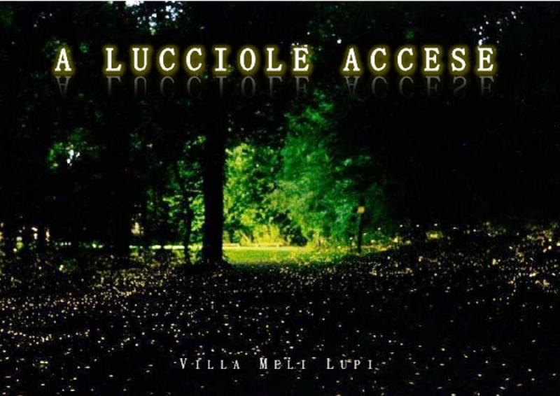 A lucciole accese 