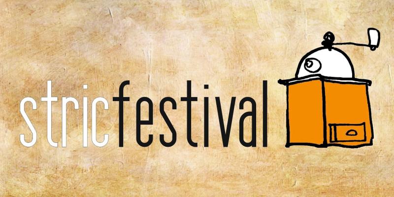 StricFestival - artisti di strada a MedesanoinFiera