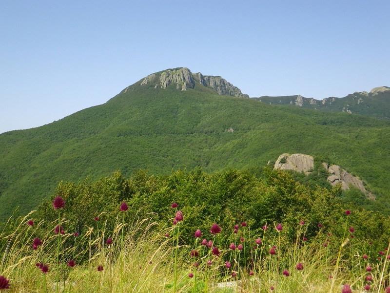 Gita sul Groppo. E dopo la fatica il picnic gourmand