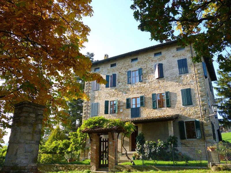 Il racconto  del castagno  a Casa Colibr&igrave;