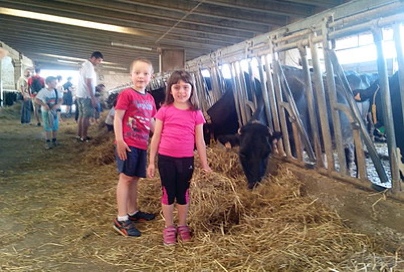 Fattorie aperte: vivere in campagna