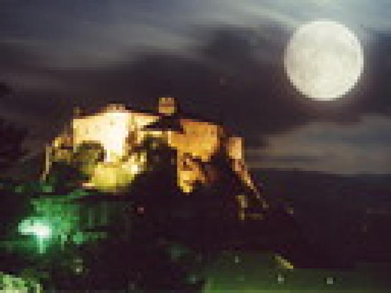 Notte horror al Castello di Bardi  