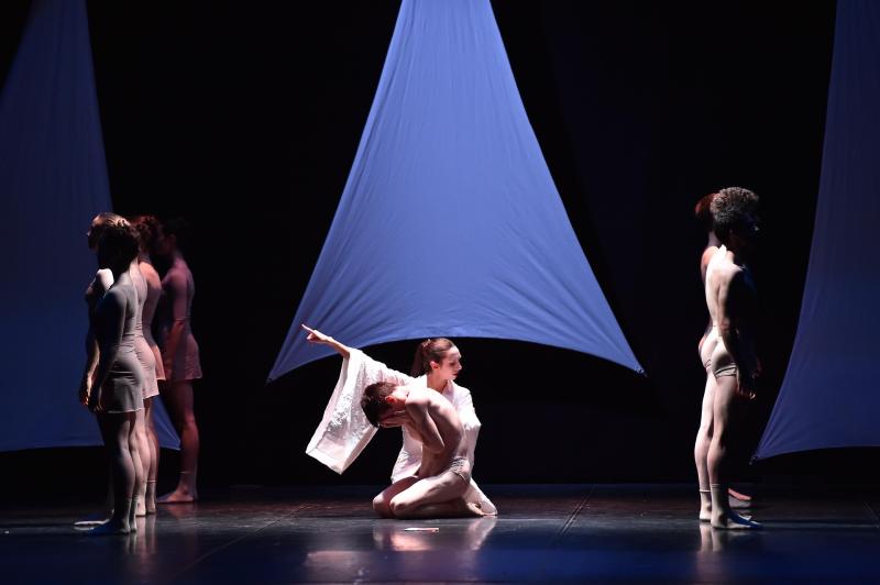 "Butterfly Ballet" nei Giardini della Reggia