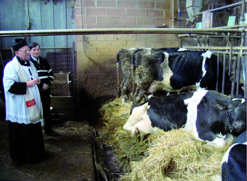 Animali, ciaspolate,  e... fal&ograve; 