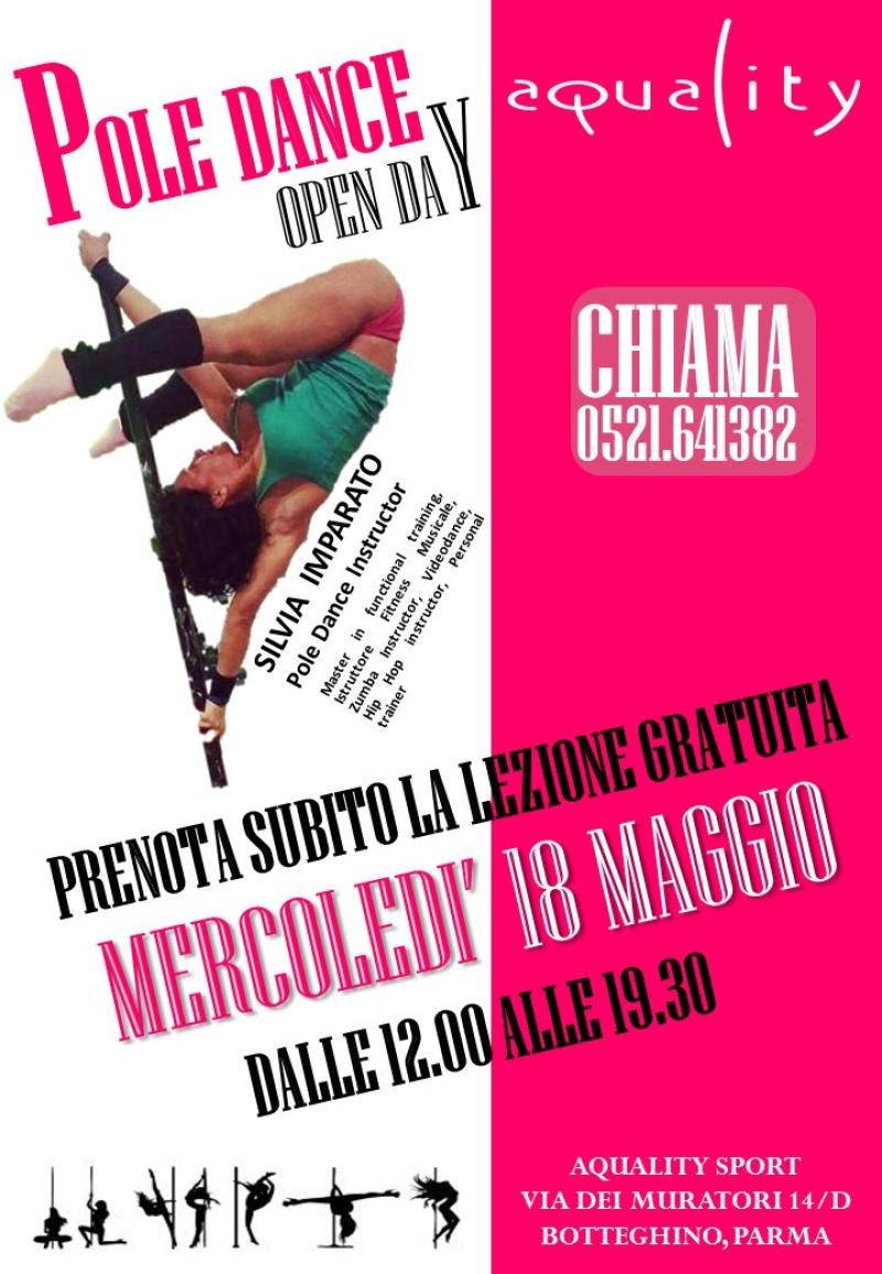 Pole Dance open day