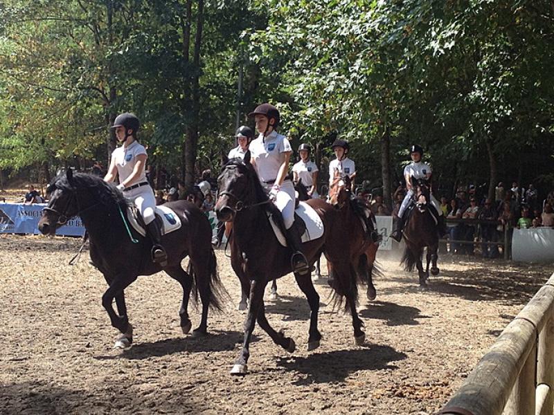 Feste d'estate  tra  musica e  buona cucina: l'agenda 