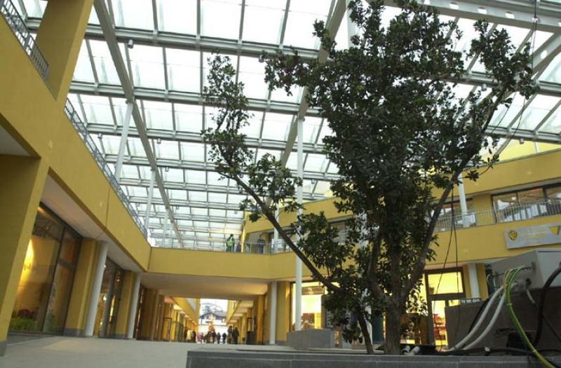 Summer nights al Barilla Center