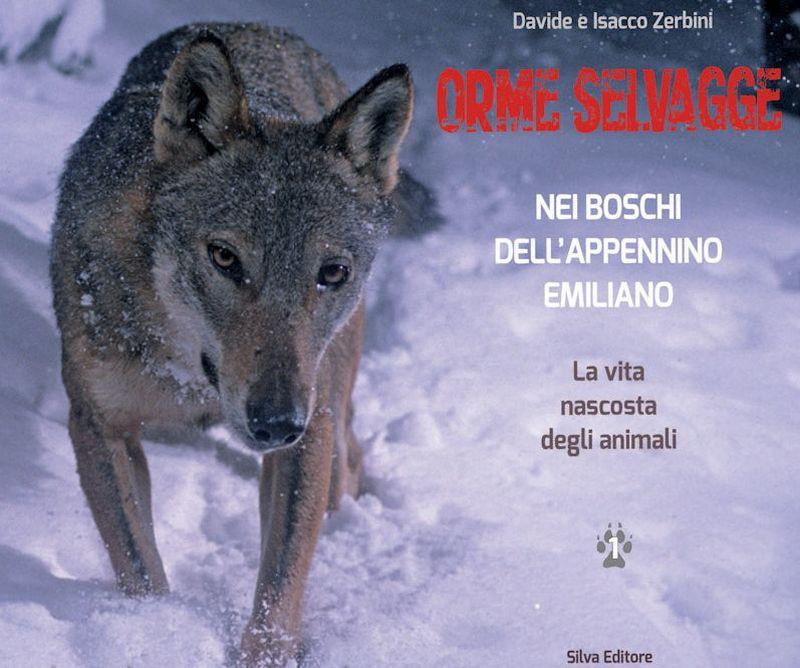 La  vita segreta degli animali del bosco