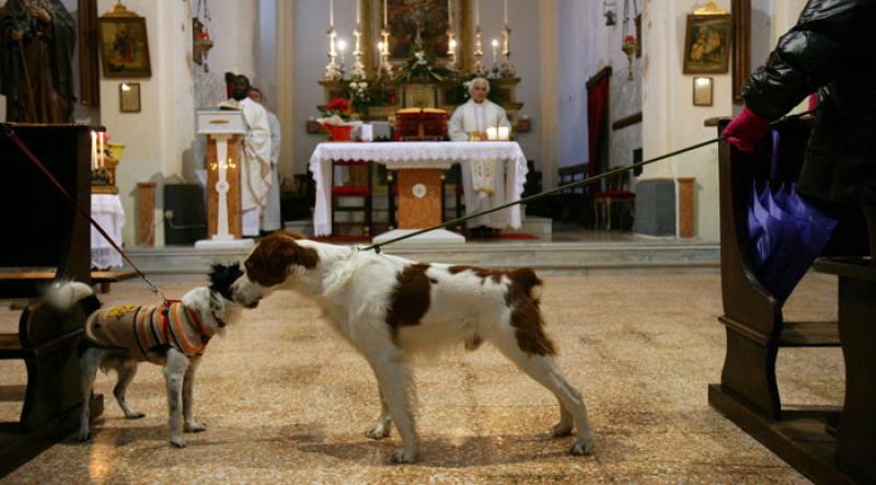 L'agenda delle benedizioni agli animali 