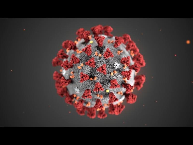 Maurizio Vescovi, incontro sul coronavirus