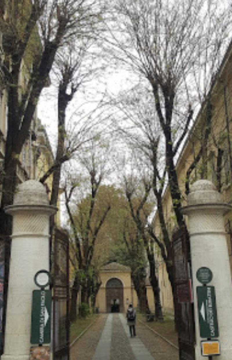  Il t&egrave; del marted&igrave; sull'arte rinascimentale