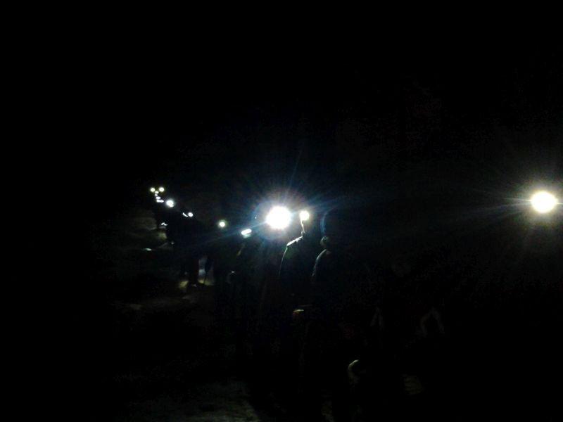 Le voci degli animali in una &hellip; Notte di luna nera